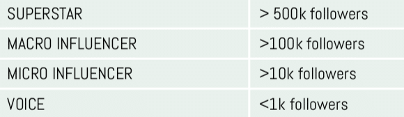 Graphic describing the different categories of influencer.